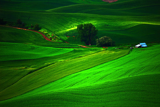 Palouse Magic Light Steptoe Butte by Keith Moul